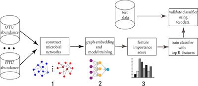 embedding deep learning microbial graph frontiersin biomarkers identification guides